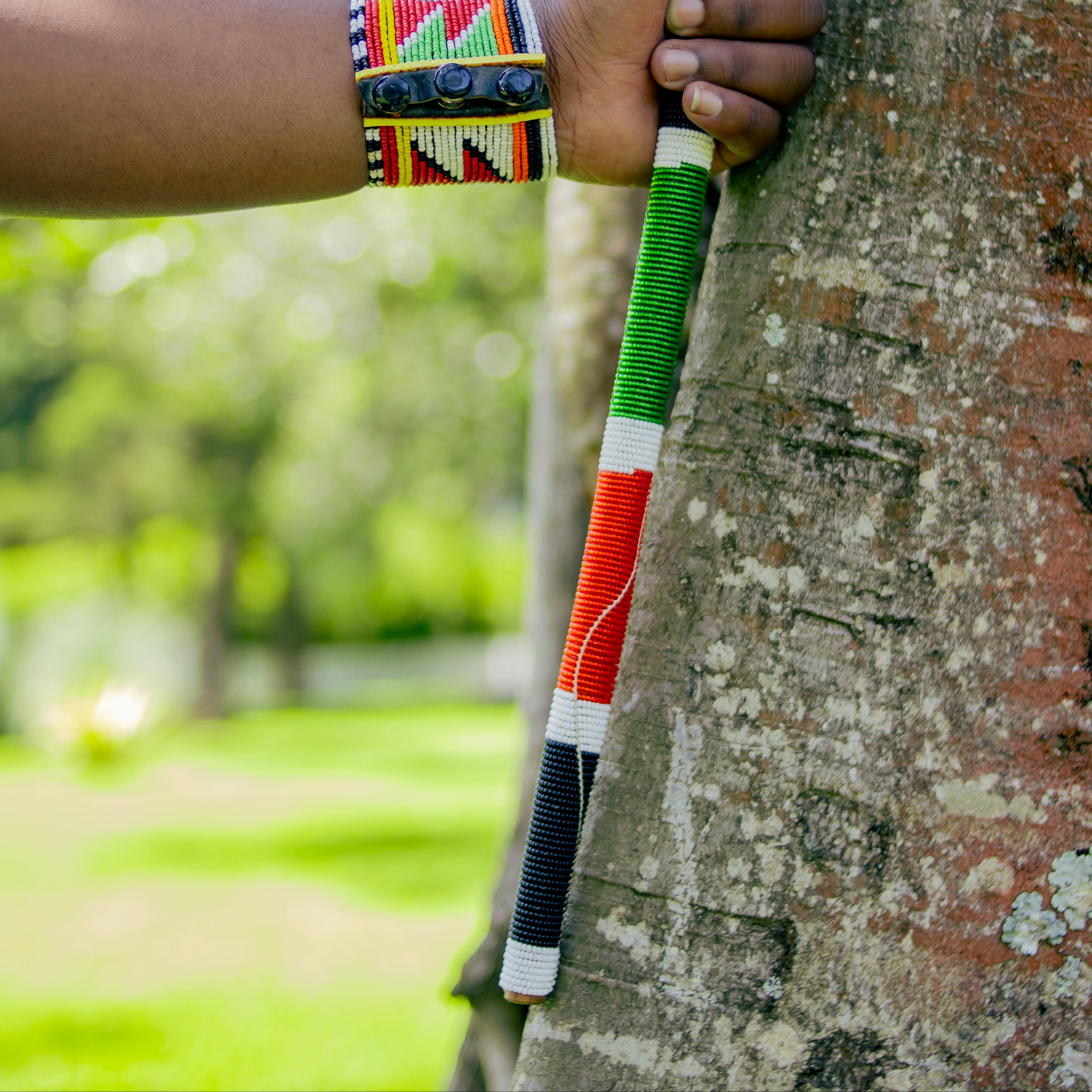 Hand holding a colorful stick against a tree with a blurred green background